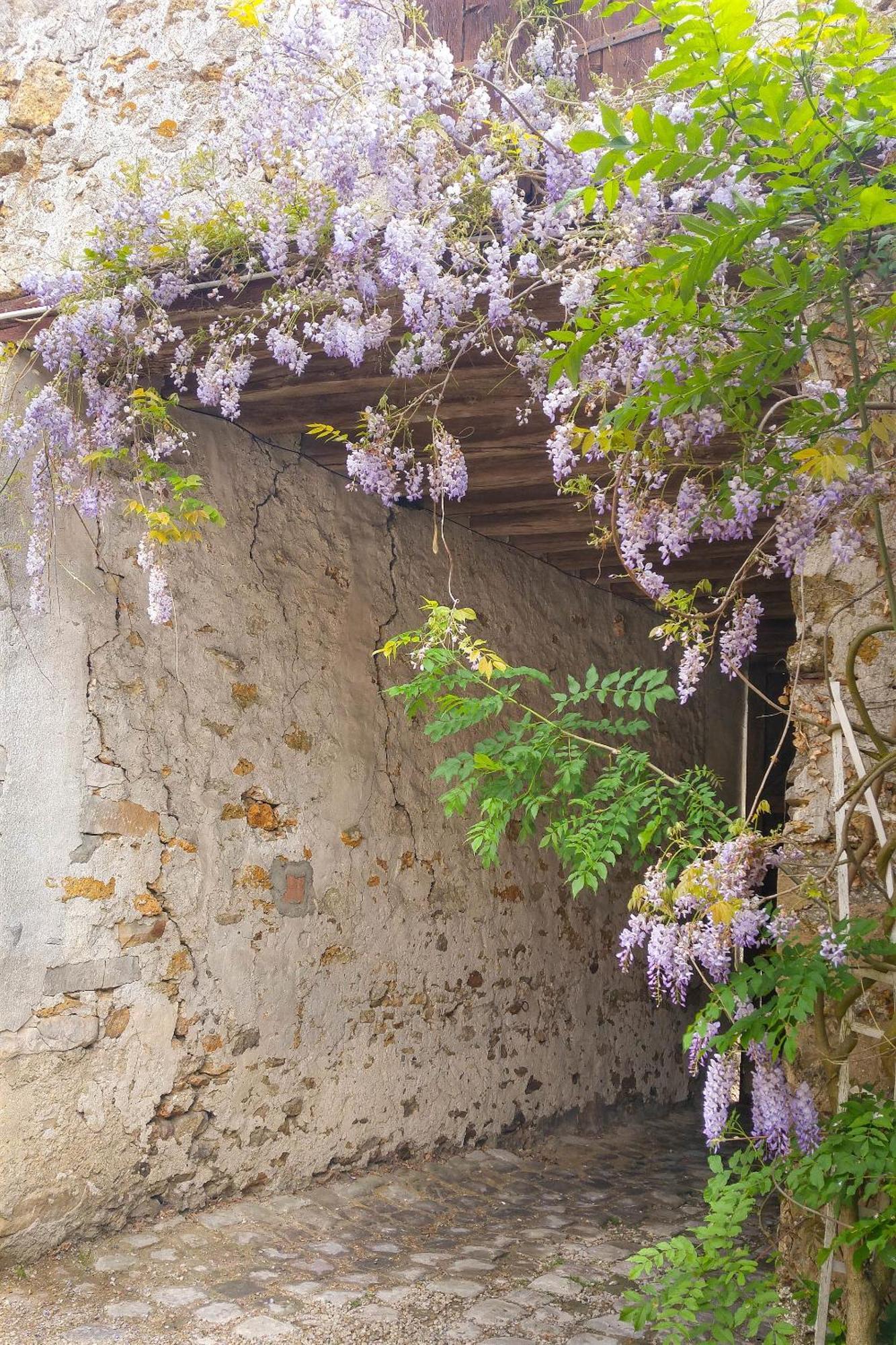 La Maison De Sophie, A Longjumeau Εξωτερικό φωτογραφία